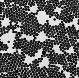 Nanoparticles for Surfaces